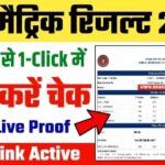 How To Check Bihar Board 10th Result 2021