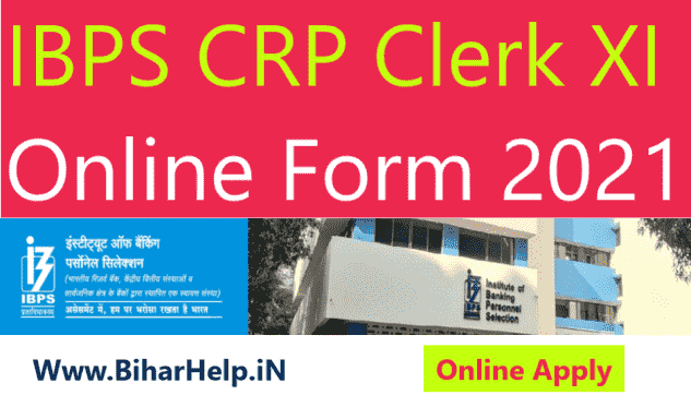 IBPS CRP Clerk XI Online Form 2021 | IBPS Clerk Vacancy 2021