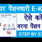 Bihar Pension E Kyc Kaise Kare 2022: Online, Important Document & Full Details