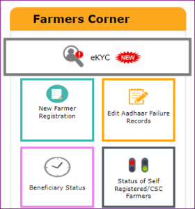 PM Kisan KYC Without CSC ID