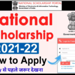NSP Pre and Post Matric Scholarship Online Form 2021 (MOMA)