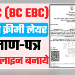 OBC NCL Certificate Online Apply Bihar