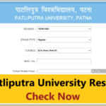 Patliputra University B.Sc Part 3 Result