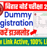 Bihar Board 10th Dummy Registration Card 2023
