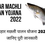 Bihar Machli Palan Yojana 2022