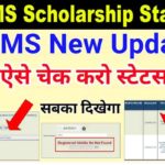PFMS Scholarship Status