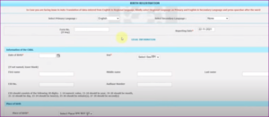 Application For Birth Certificate Online 