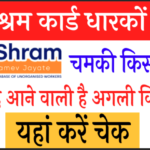 Bright luck for e-shram card holders, coming soon