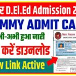 Bihar DELED Dummy Admit Card 2022