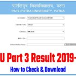 PPU Bsc Part 3 Result 2022