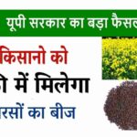UP government will give free mustard seeds to farmers