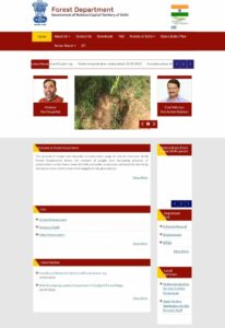 How to Check Delhi Forest Guard Final Result 2022 ?