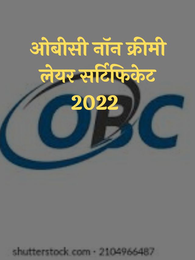 HOW TO MAKE OBC NCL CERTIFICATE IN BIHAR visual data 7