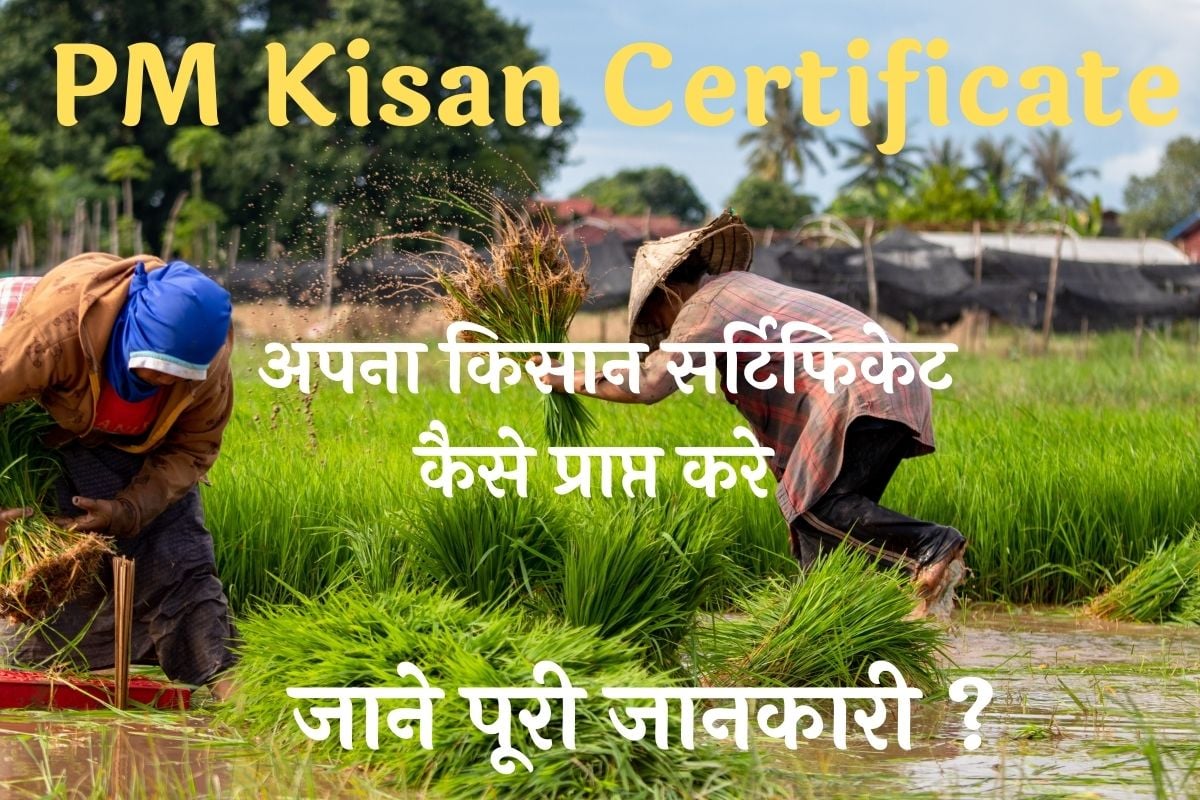 PM Kisan Certificate