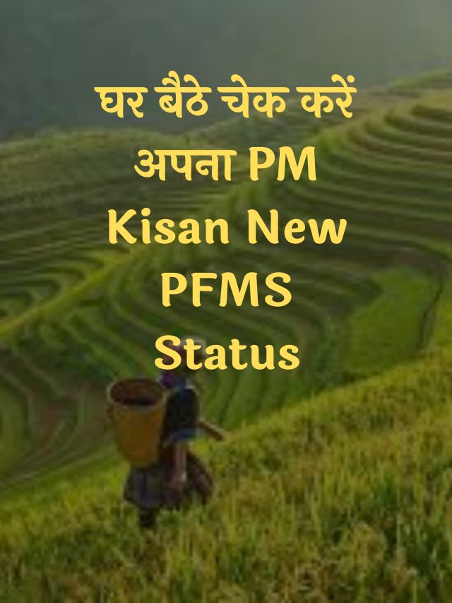 PM Kisan New PFMS Status