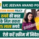 LIC Jeevan Anand Policy