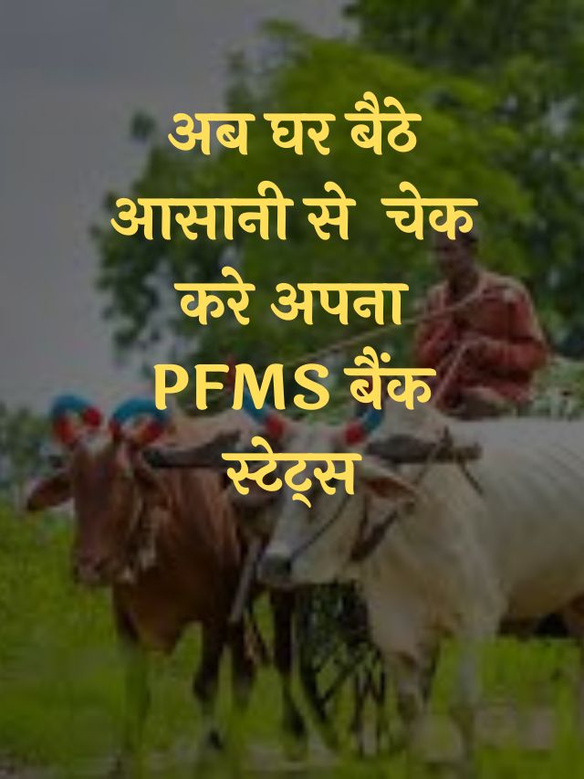 PM Kisan PFMS Bank Status Check
