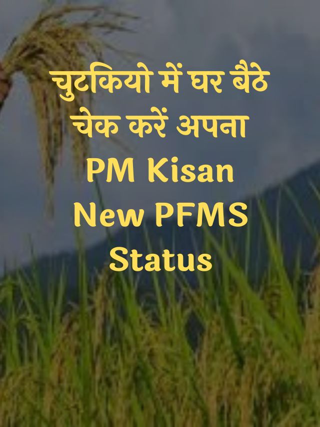 PM Kisan New PFMS Status Check Kaise Kare