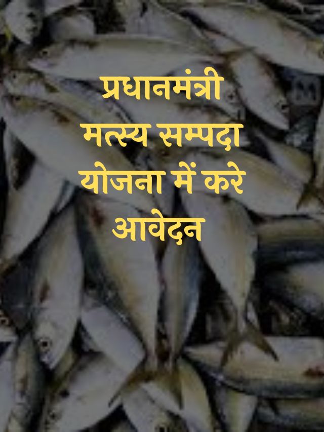 Bihar Fisheries Scheme 2023