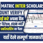 Matric Inter Scholarship Account VerifyMatric Inter Scholarship Account Verify