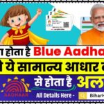 Blue Aadhaar