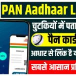 PAN Aadhaar Link