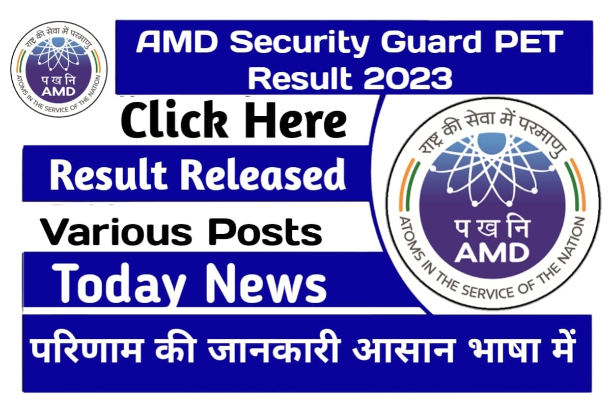 AMD Security Guard PET Result 2023