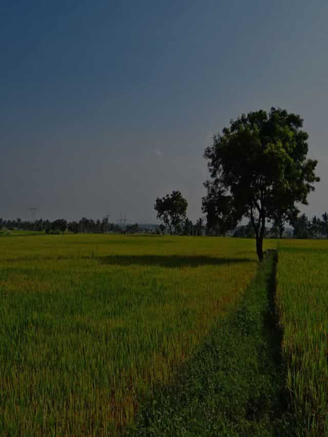 घर बैठे जाने अपने दादा-परदादा द्धारा खरीदी गई भूमि की पूरी जानकारी