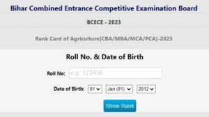BCECE Rank Card 2023
