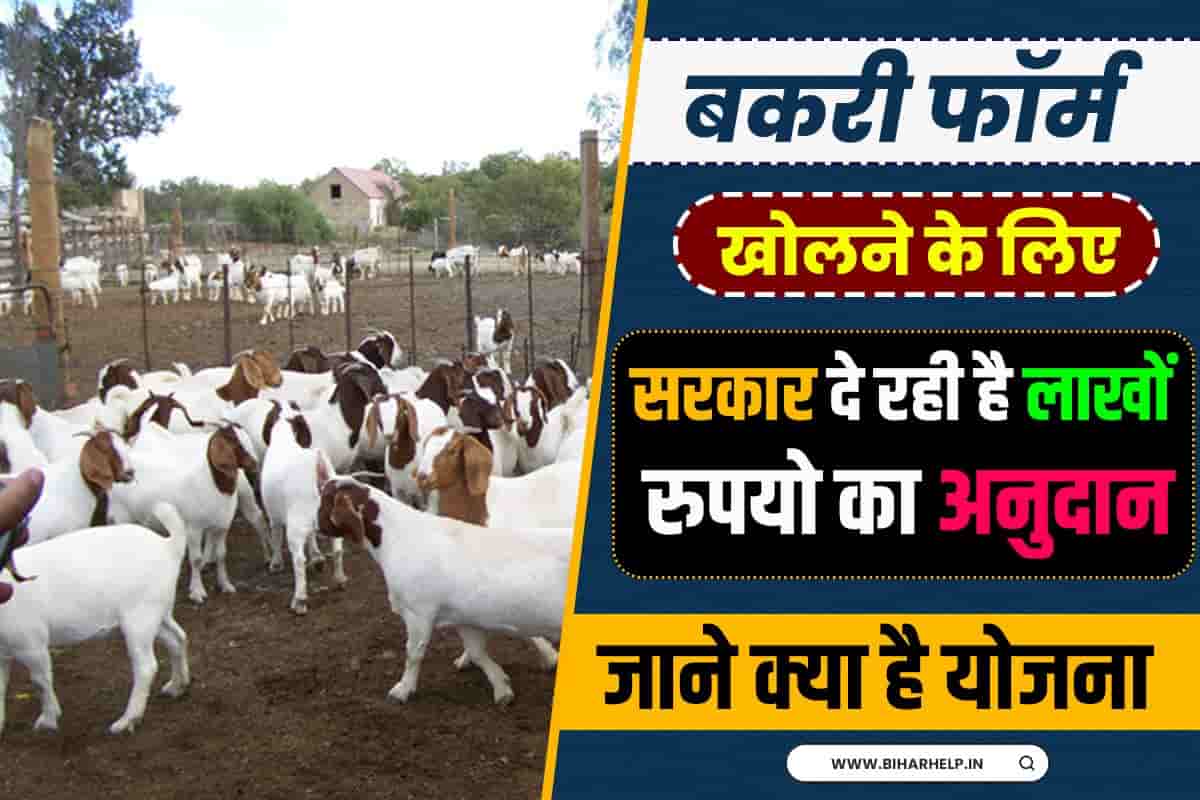 Bihar Bakri Farm Yojana 2023