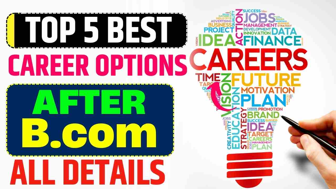 Top 5 Best Career Options After B.com