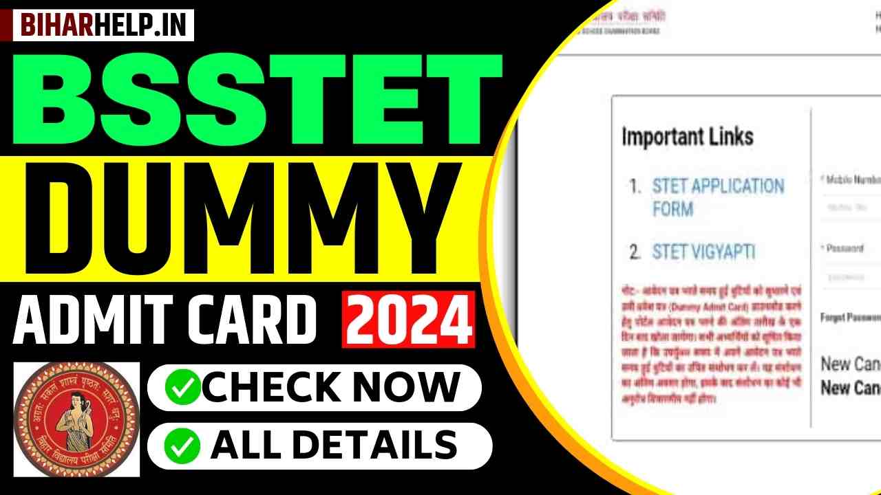 BSSTET Dummy Admit Card 2024