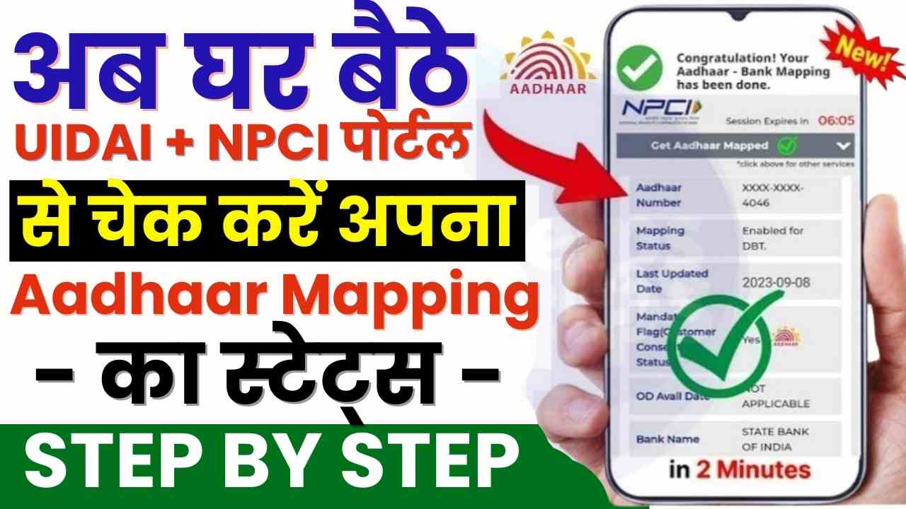 Get Aadhaar Mapping Status