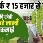 HOW TO START BASIL FARMING BUSINESS IN INDIA IN HINDI