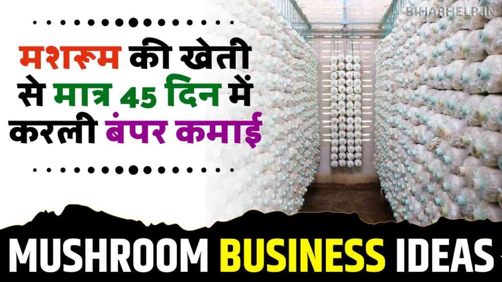 mushroom business plan in hindi