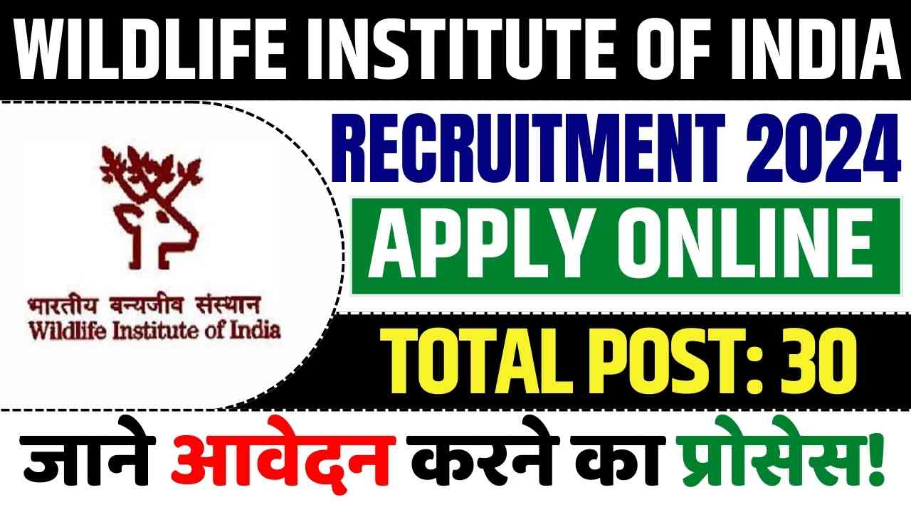 Wildlife Institute of India Recruitment 2024