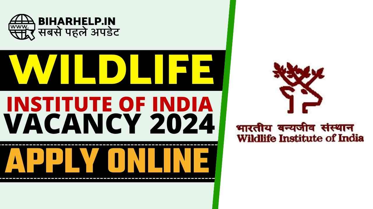 WILDLIFE INSTITUTE OF INDIA VACANCY 2024