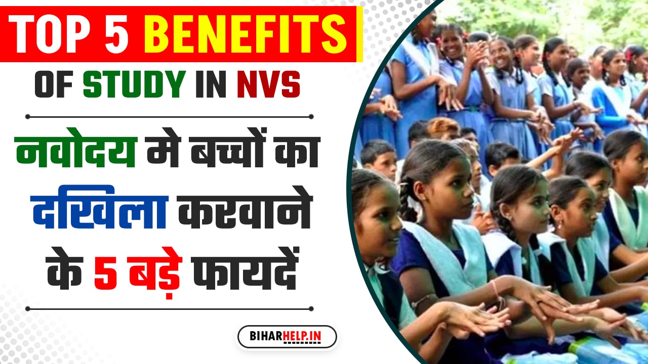 Top 5 Benefits Of Study In NVS