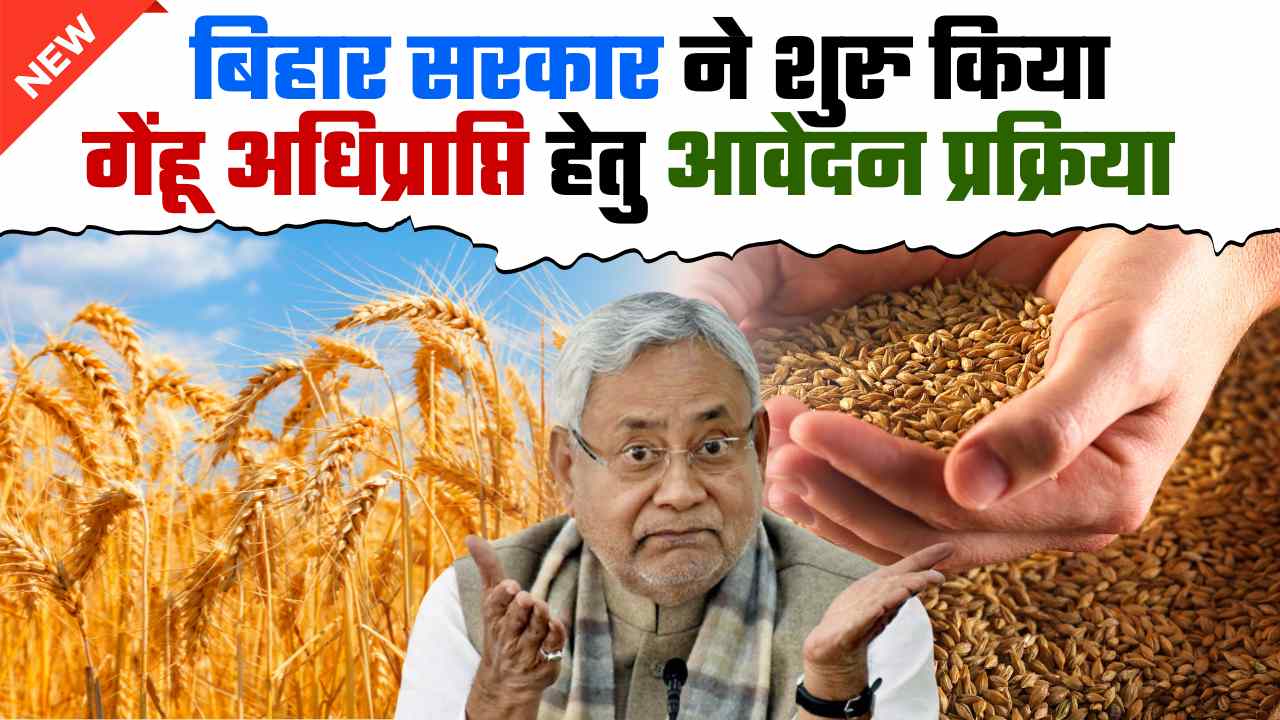 BIHAR GEHU ADHIPRAPTI 2024-25