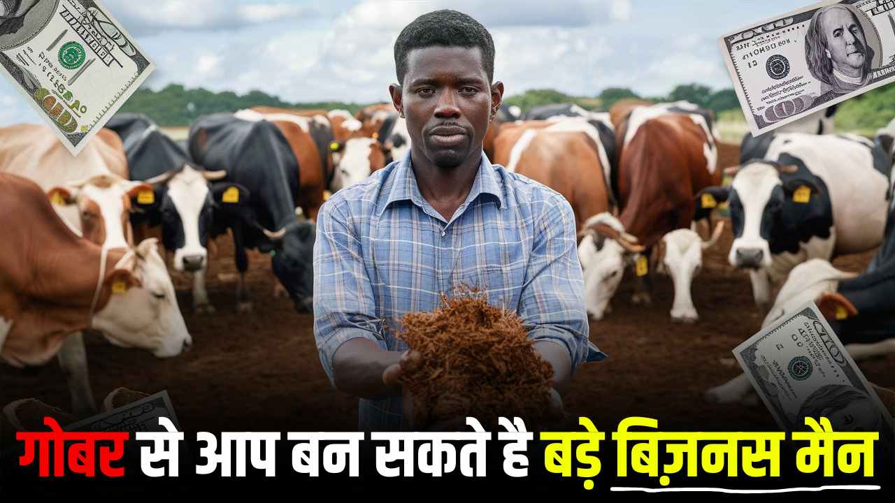 Cow Dung Business Ideas