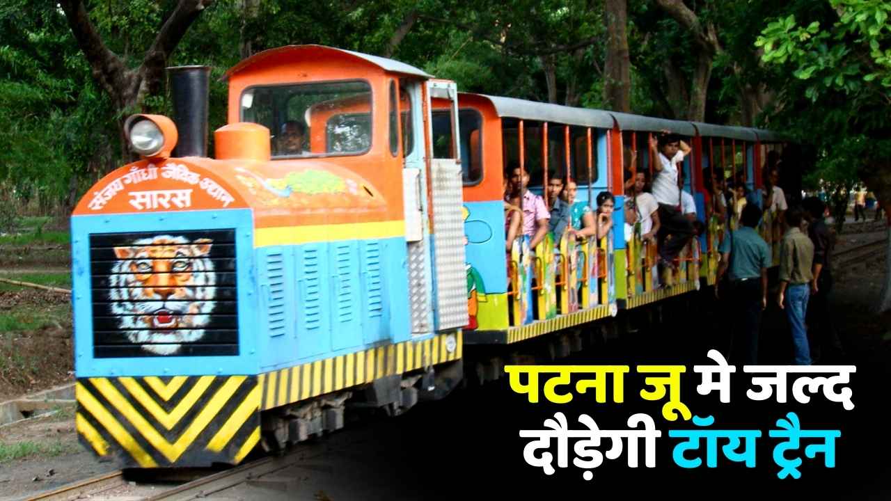 Patna Zoo Toy Train