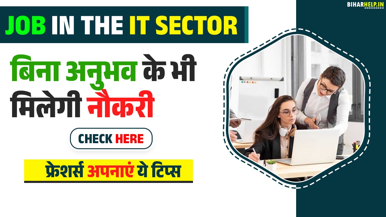 Tips for Freshers To Get a Job In The IT Sector