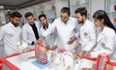 Top Paramedical Courses After 12th Without NEET