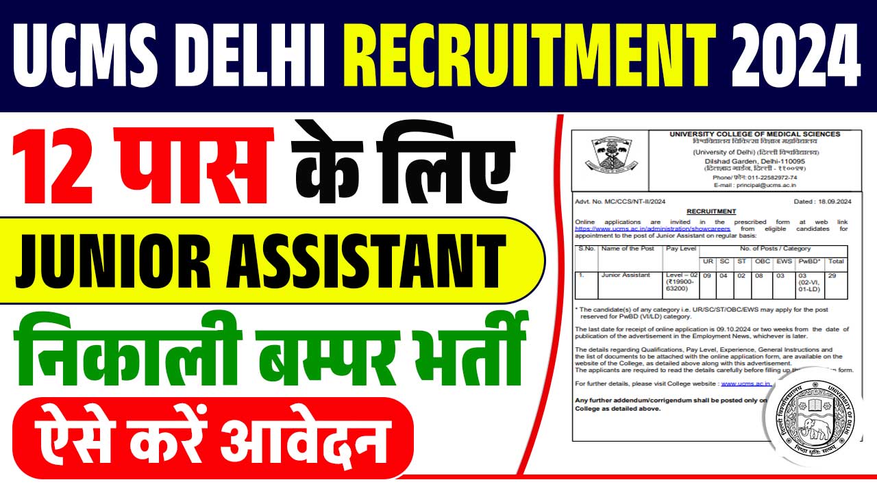 UCMS DELHI RECRUITMENT 2024