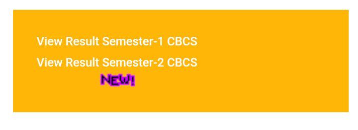 LNMU 2nd Semester Result 2025