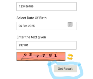 RSMSSB CET 12th Level Score Card 2025 :