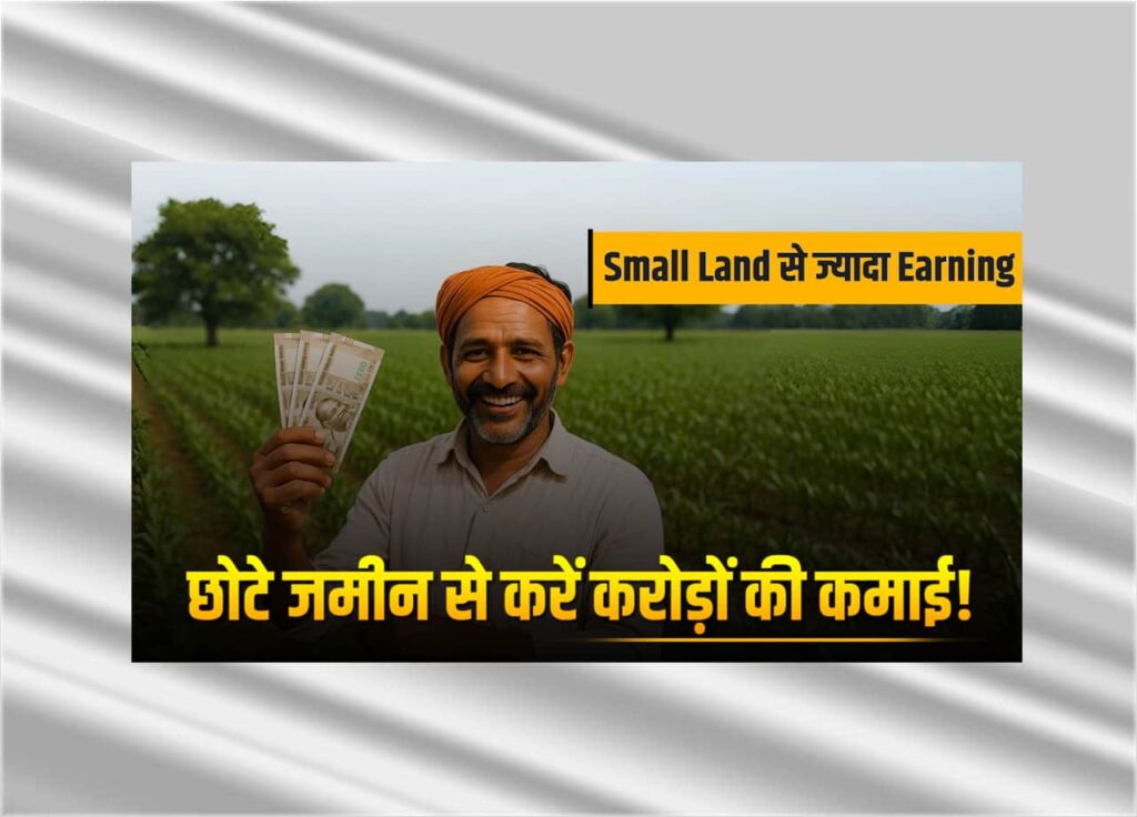 Small Land से ज्यादा Earning Small Land से ज्यादा Earning