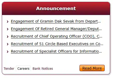 Announcement Section for IPPB Executive Recruitment 2025